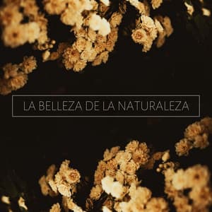 La Belleza De La Naturaleza: Música De Ambiente Para Masajes Y Terapias Naturales, Spa Y Centros De Belleza - Elena Ambiental