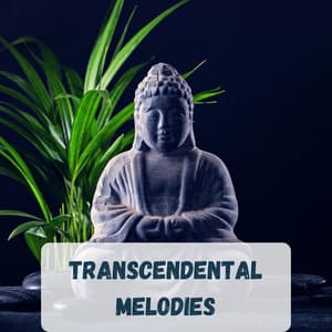 Transcendental Melodies: Soothing Buddhist Meditation Sounds for Inner Peace - Yoga Music for Yoga Class