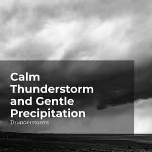 Calm Thunderstorm and Gentle Precipitation - Thunderstorms