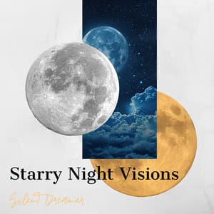 Starry Night Visions: 432 Hz Dream Music - Silent Dreamer