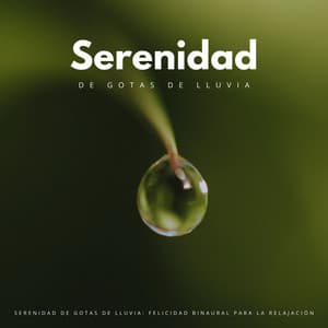 Serenidad De Gotas De Lluvia: Felicidad Binaural Para La Relajación - The Unexplainable Store