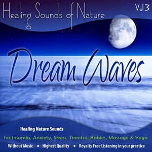 Healing Nature Sounds for Insomnia, Anxiety, Stress, Tinnitus, Babies, Massage & Yoga - Vol. 3 - The Healing Sounds of Nature