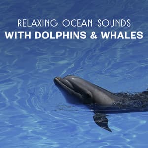Relaxing Ocean Sounds with Dolphins & Whales – Healing Water Music Therapy, Natural Sleep Aid, Crashing Ocean Waves, Deep Meditation - Soothing Ocean Waves Universe