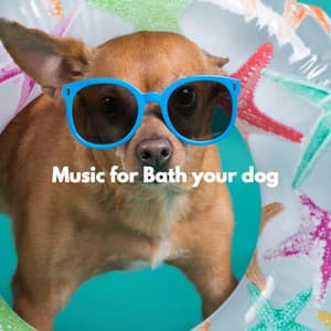 Music for Bath your dog - Monday Morning Jazz Playlist