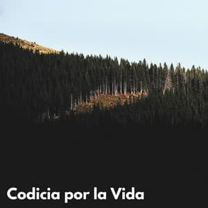 Codicia Por La Vida - VIDA ASMR