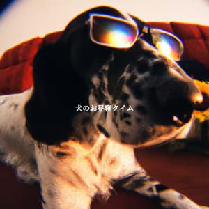 犬のお昼寝タイム - Cafe Music