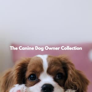 The Canine Dog Owner Collection - Relaxing Dog Music Playlists