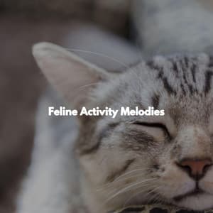Feline Activity Melodies - Jazz Romance