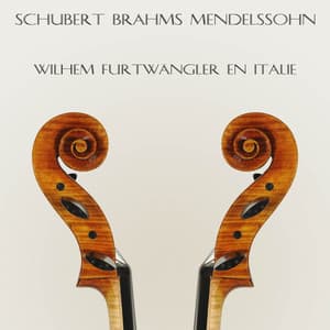Schubert, Brahms & Mendelssohn : Wilhelm Furtwängler en Italie - Orchestra Sinfonica Di Torino Della Rai