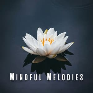 Mindful Melodies: Meditation Music Edition - mymelody