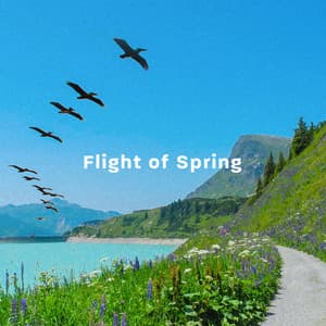 Flight Of Spring - Terry Devine-King