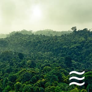 Soft Sounds of Raining for Yoga Training - Yoga Stretching