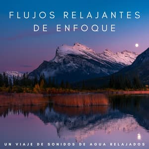 Flujos Relajantes De Enfoque: Un Viaje De Sonidos De Agua Relajados - Ciencia del Agua