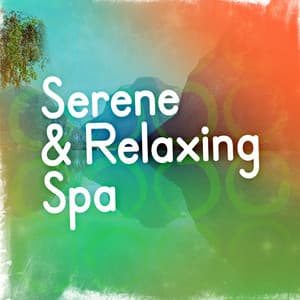 Serene & Relaxing Spa - Spa Relaxation