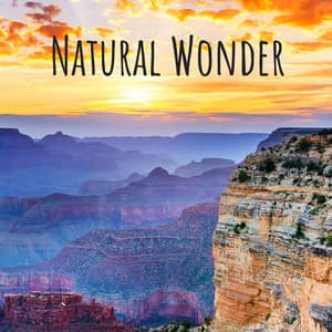 Natural Wonder - Sleep Tight