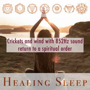 Crickets and wind with 852Hz sound return to a spiritual order - Healing Sleep