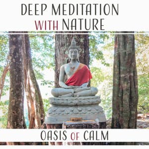Deep Meditation with Nature: Oasis of Calm – Relaxing Natural Ambiences & New Age Music for Zen Meditation, Yoga and Sleep - Zen Natural Sounds