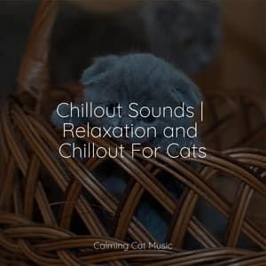 Chillout Sounds | Relaxation and Chillout For Cats - Calm Music for Cats