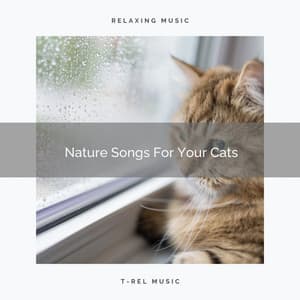 Nature Songs For Your Cats - Cat Total Relax