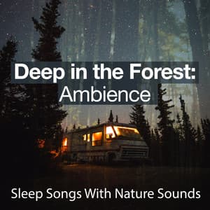 Deep in the Forest: Ambience - Sleep Songs with Nature Sounds
