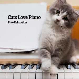 Cats Love Piano: Pure Relaxation - Piano for cats