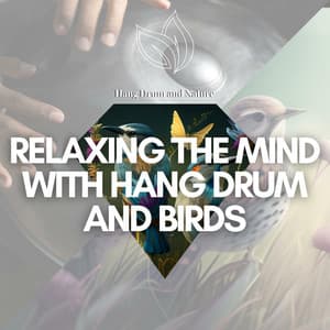 Relaxing the Mind with Hang Drum and Birds - Hang Drum and Nature