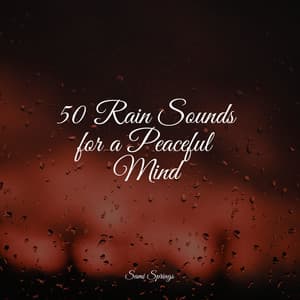 50 Rain Sounds for a Peaceful Mind - Meditação Yoga