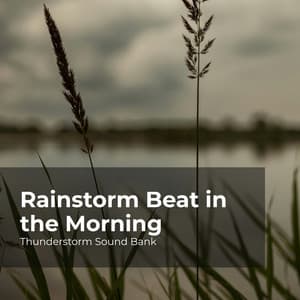 Rainstorm Beat in the Morning - Thunderstorm Sound Bank