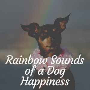 Rainbow Sounds of a Dog Happiness - Music for Sleeping Puppies
