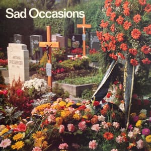 Sad Occasions - John Fox