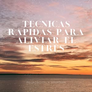 Técnicas Rápidas para Aliviar el Estrés - Relajación y Armonía