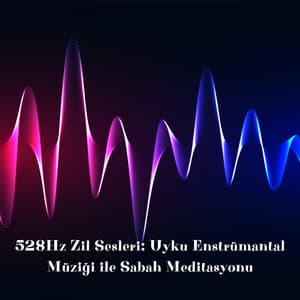 528Hz Zil Sesleri: Uyku Enstrümantal Müziği ile Sabah Meditasyonu - Uyku Müziği!