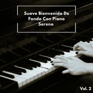 Suave Bienvenida De Fondo Con Piano Sereno Vol. 2 - Cascada de Lluvia
