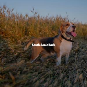 South Sonic Bark - Cafe Music Deluxe
