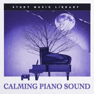 Calming Piano Sound - Study Music Library