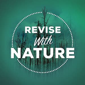 Revise with Nature - Exam Study Nature Music Nature Sounds