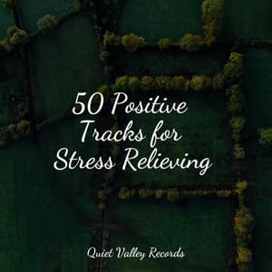50 Positive Tracks for Stress Relieving - Avslappning Sound