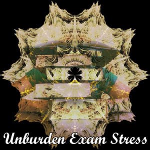 Unburden Exam Stress - White Noise Research