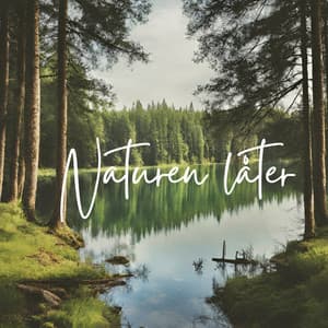 Naturen låter: Lugn samling för sömn, avslappning, massage, meditation - Lugn Musik Atmosfär