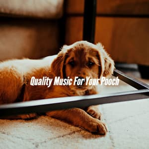 Quality Music For Your Pooch - Doggy Music Radio