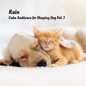 Rain: Calm Ambience for Sleeping Dog Vol. 1 - Nature on Record