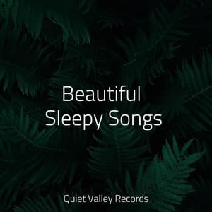 Beautiful Sleepy Songs - Forest Soundscapes