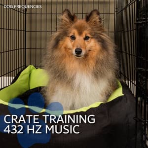 Crate Training 432 Hz Music - Dog Frequencies