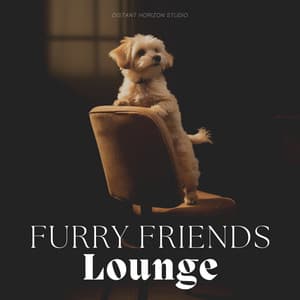 Furry Friends Lounge - Calming for Dogs