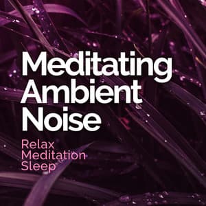Meditating Ambient Noise - Relax Meditation Sleep
