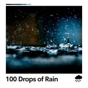 100 Drops of Rain - Rain Radiance