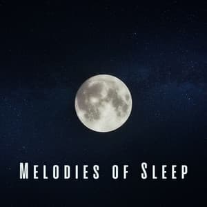 Melodies of Sleep: Meditative Piano for Sound Slumber - Splendor of Meditation for Smoking Cessation
