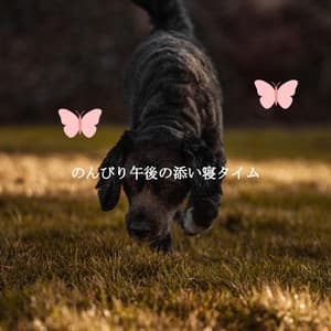 のんびり午後の添い寝タイム - Smooth Jazz Deluxe