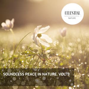 Soundless Peace in Nature, Vol. 3 - Nature Radiance