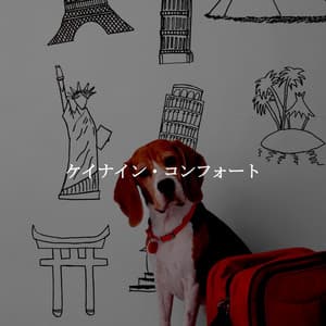 ケイナイン・コンフォート - Good Morning Jazz Cafe